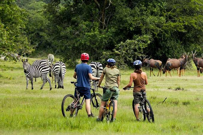 Lake Mburo National Park safari with Tata Africa Safaris