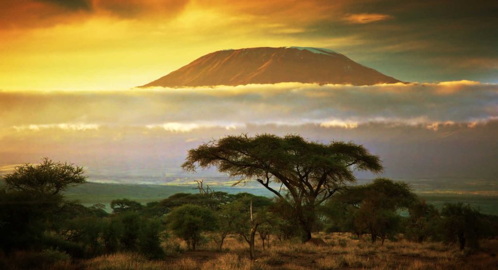 Mount Kilimanjaro - Tanzania safari