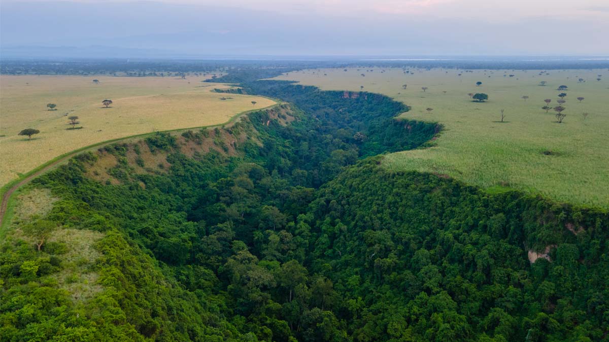 Gorilla trekking in Rwanda