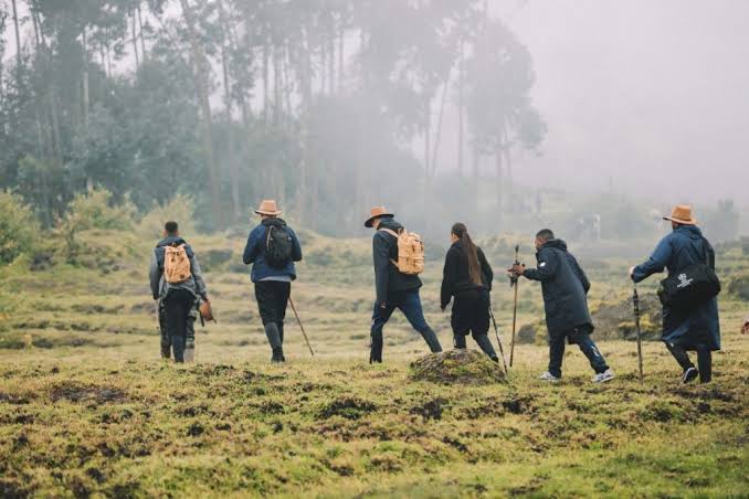 What to wear for gorilla trekking in Uganda or Rwanda