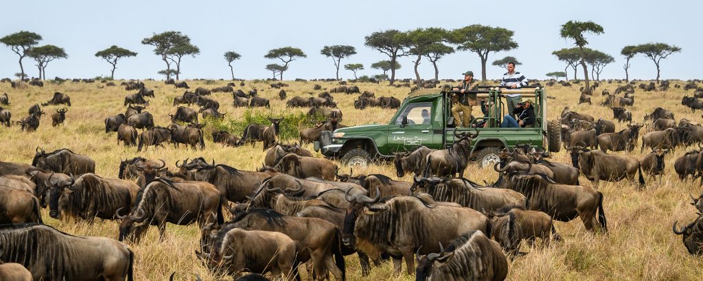 Tanzania Safaris - Tata Africa Safaris