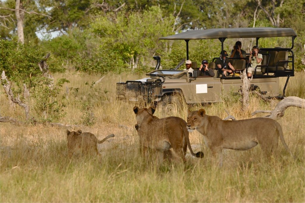Murchison Falls National Park - Uganda safari