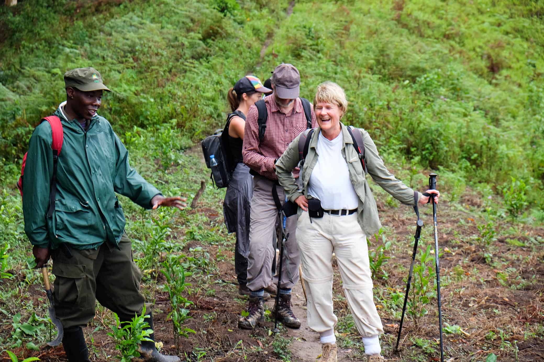 African rainforest experience